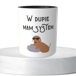 W dupie mam system